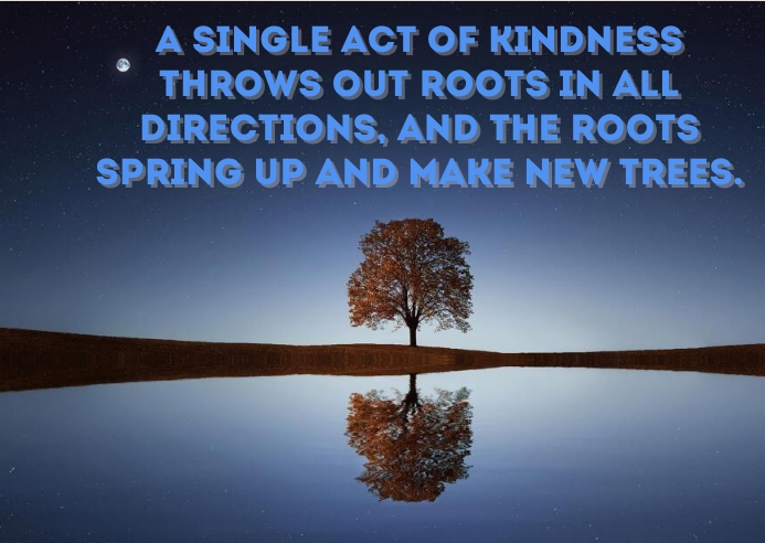 Copy of SPRING AND TREE QUOTE TEMPLATE | PosterMyWall