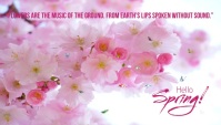 spring blog header, hello spring, spring 2023 Igama LeBhulogi template