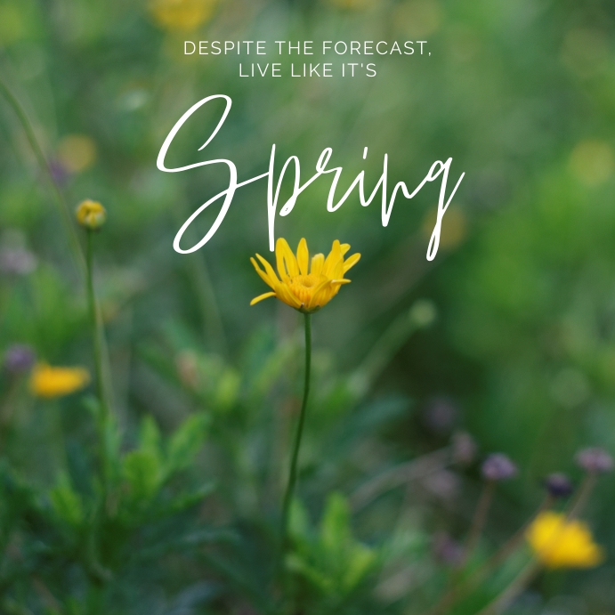 Spring Break Template PosterMyWall