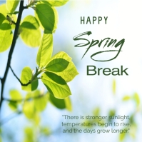 Spring break Instagram post Template | PosterMyWall