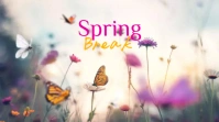 Spring Break Twitter-Beitrag template