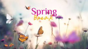 Spring Break Post sa Twitter template