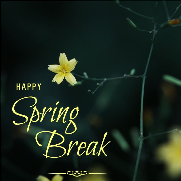 spring break Template | PosterMyWall