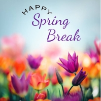 Spring break Instagram post Template | PosterMyWall