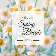 spring break Template | PosterMyWall