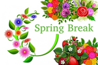 Spring Break Flyer Template Design | PosterMyWall