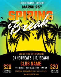 Spring Break Flyer Template Design Poster/Wallboard