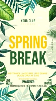 Spring Break Instagram Story Indaba yaku-Instagram template