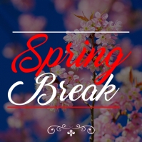 Spring Party Instagram Post Template | PosterMyWall