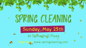Spring Cleaning Twitter Post template