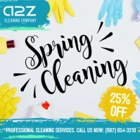 Spring cleaning professional cleaning service Instagram Post template