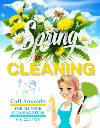 Spring Cleaning Service Poster/Wallboard template