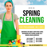 Professional Spring Cleaning Service Instagram Template | PosterMyWall