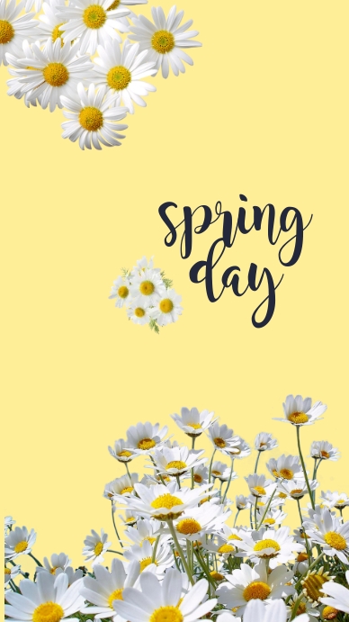 Copy of spring day daisy flower | PosterMyWall