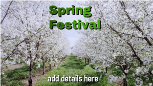 Grå spring Digital Display Template