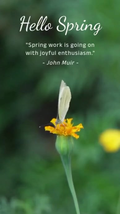 spring Instagram Story template