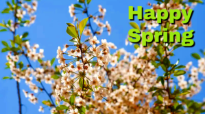 spring Digitalanzeige (16:9) template
