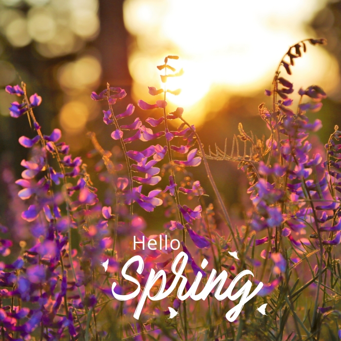 Spring Template | PosterMyWall