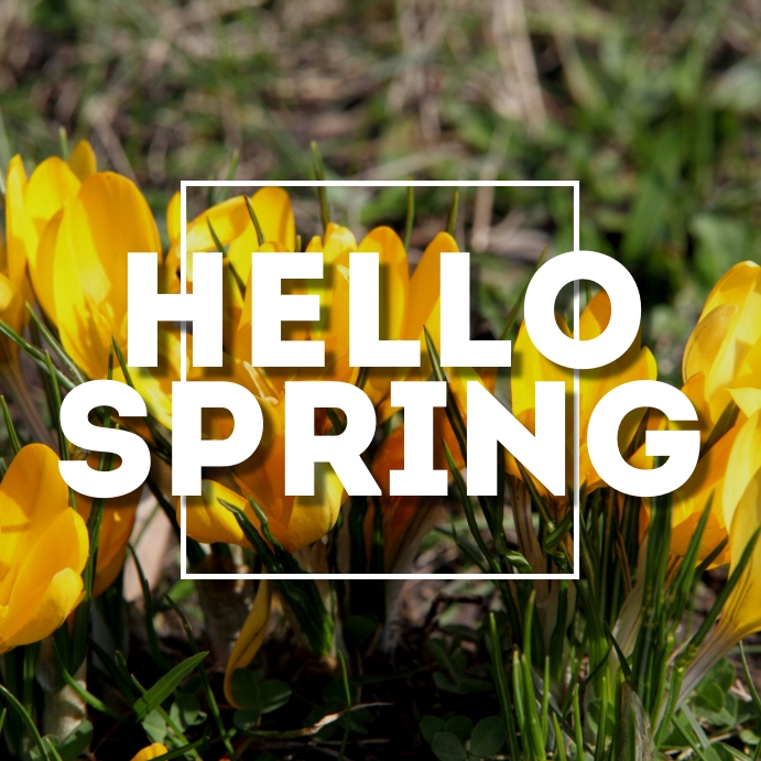 Plantilla de Primavera | PosterMyWall