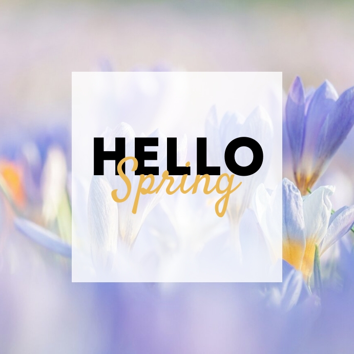 SPRING Instagram 帖子 template