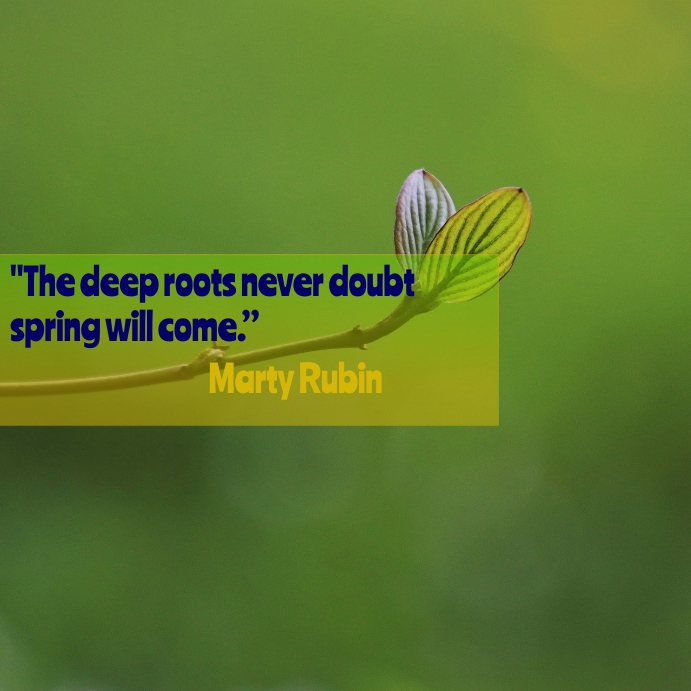spring Instagram Post template
