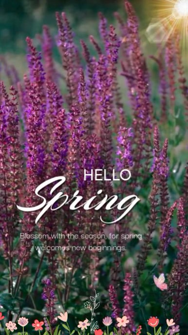 spring รีลบน Instagram template