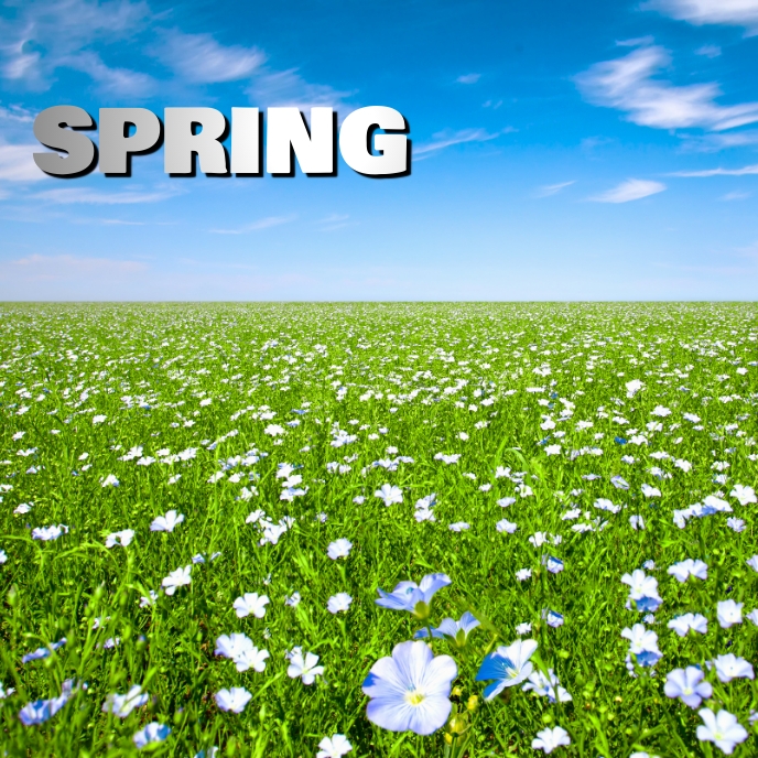 spring Template | PosterMyWall