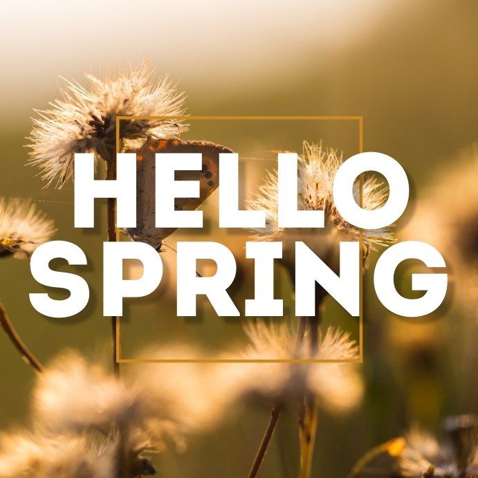 SPRING Instagram 帖子 template