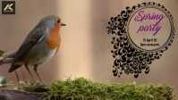 Spring Facebook Cover Video (16:9) template