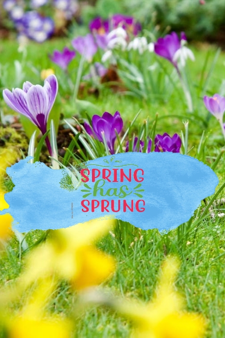 SPRING Poster template