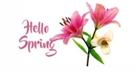 Spring Ikhava Yomcimbi WeFacebook template