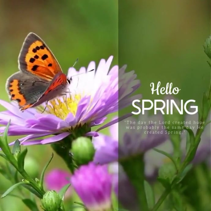 spring Post Instagram template