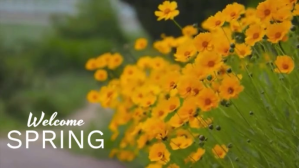 Spring Welcome Digital Display Template | PosterMyWall