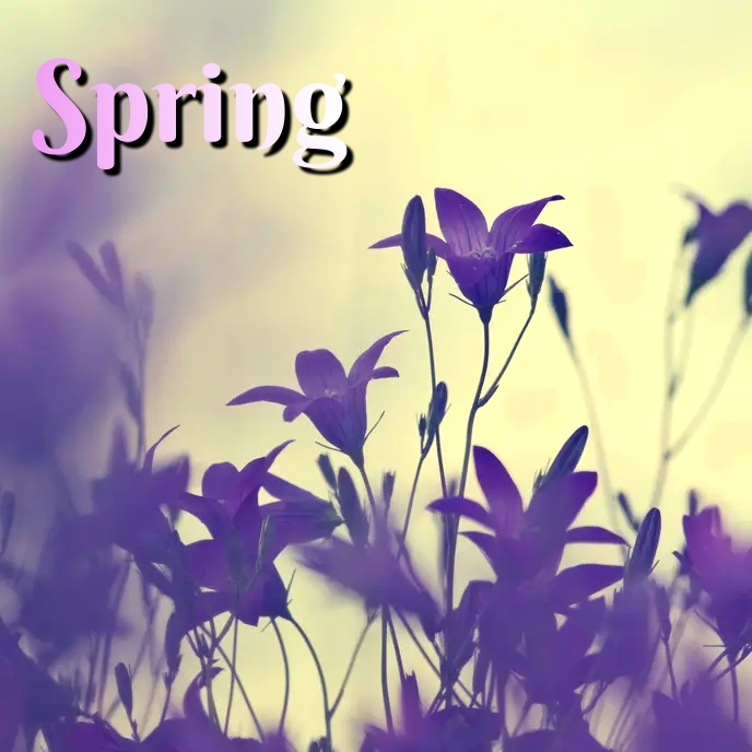 Album Covers Spring spring Template | PosterMyWall