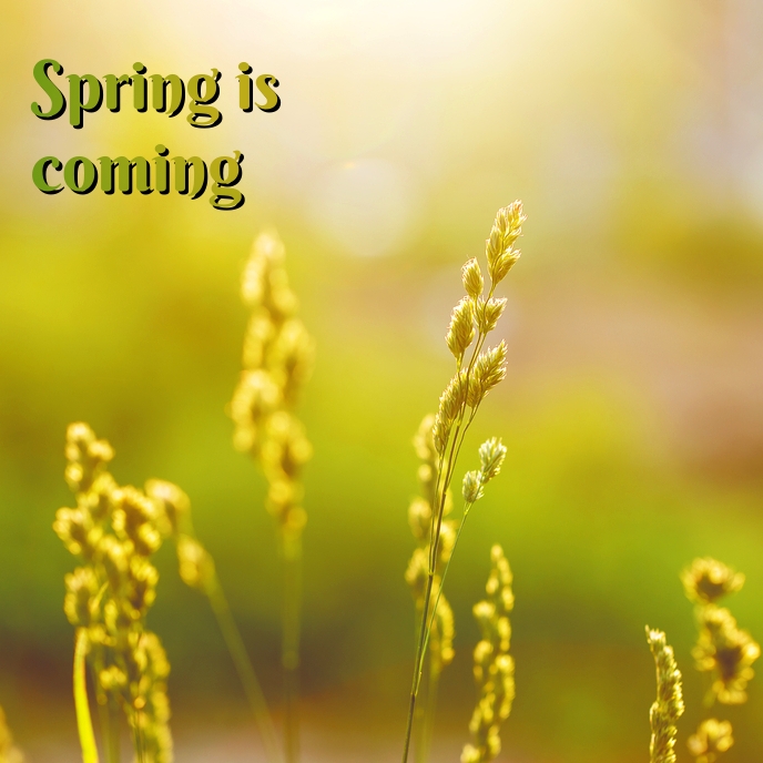 Album Covers Spring spring Template | PosterMyWall