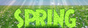 Spring Email Header 2023 Nagłówek wiadomości e-mail template