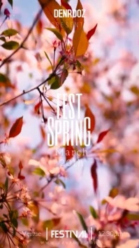 spring fest Digitalanzeige (9:16) template