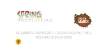 Spring Festival Video Ad template Pantalla Digital (16:9)