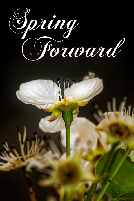 Spring Forward Template PosterMyWall