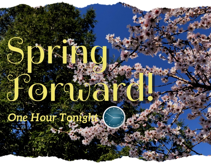 Copy of Spring forward | PosterMyWall