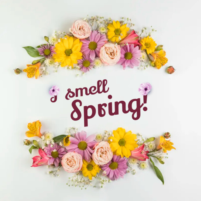 Spring Greetings Quadrado (1:1) template