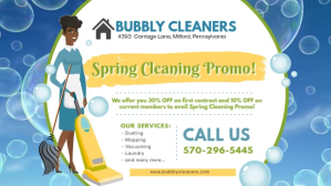 Spring House Cleaning Service Banner Facebook Cover Video (16:9) template
