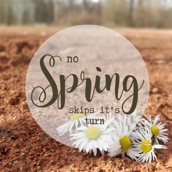 Spring instagram Template | PosterMyWall