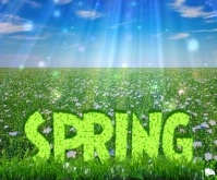 Spring Large Rectangle template