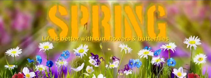 Spring Facebook Banner
