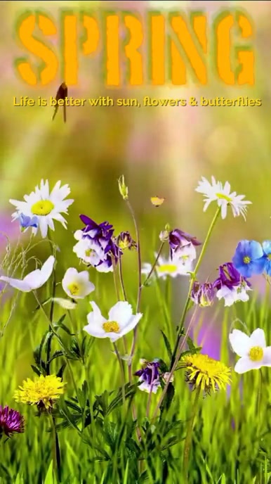 Spring Life Is Better With... Instagram Story Template | PosterMyWall