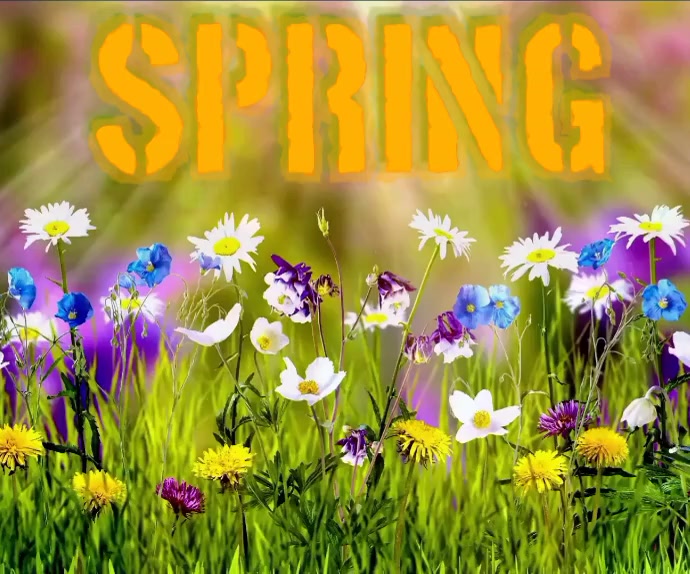 Spring Life Is Better With... Large Rectangle Template | PosterMyWall