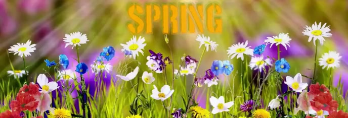 Spring Life Is Better With... LinkedIn Banner Template | PosterMyWall