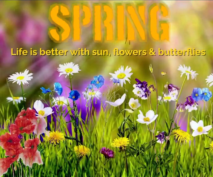 Spring Life Is Better With... Med. Rectangle Template | PosterMyWall