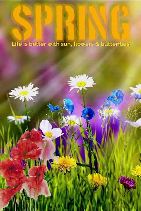 Copy of Spring Life Is Better With... Pinterest Video | PosterMyWall